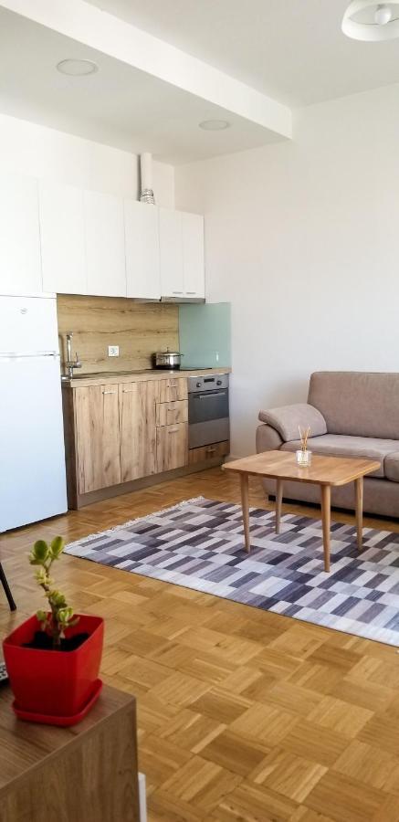 City Center Cute And Comfy Apartment - Ajia Apartments Tirana Bagian luar foto